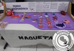 1º Congreso de Histologia UCP (5)